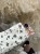 IMG_8259.JPEG