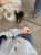 IMG_0152.JPEG