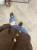 IMG_0073.JPEG